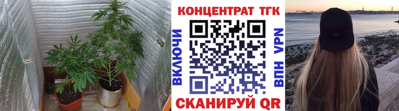 ТГК гашишное масло Краснослободск