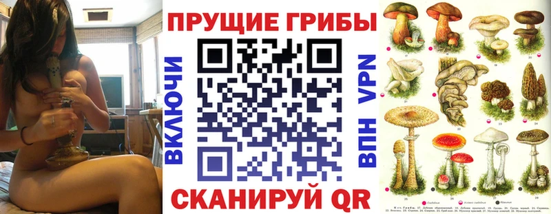 Галлюциногенные грибы Magic Shrooms  Купить где  Краснослободск 